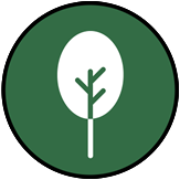 Tree Care Icon